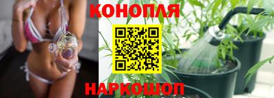 сатива Будённовск