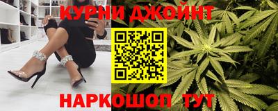 сатива Будённовск