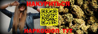 сатива Будённовск