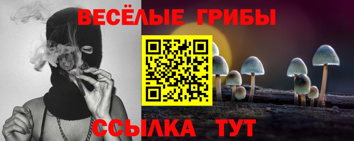 Электросталь  Галлюциногенные грибы GOLDEN TEACHER  Вход с VPN 